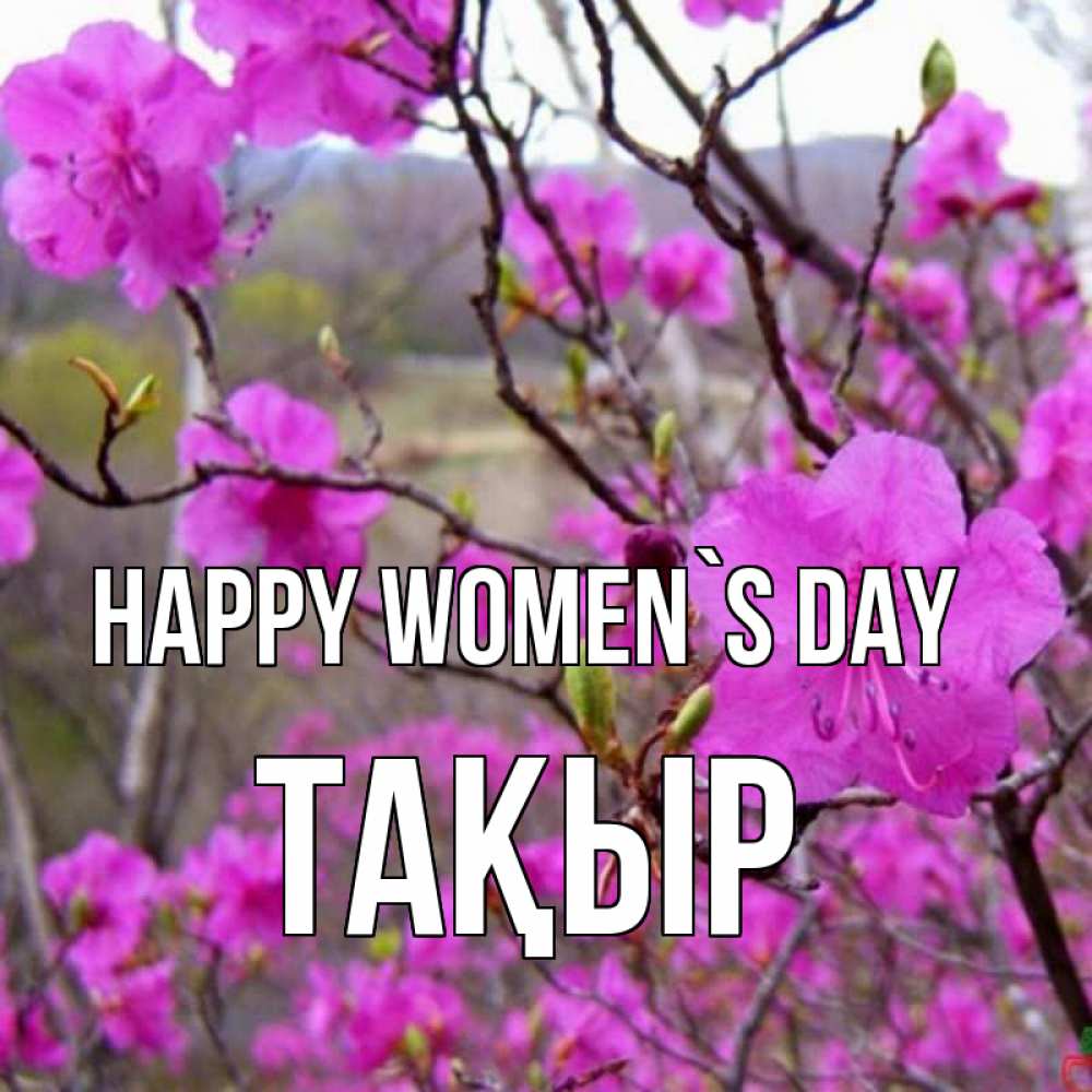Greetings card с именем, ТАҚЫР happy women`s day международный женский день Greetings with text for free download 